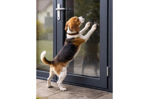 How can you prevent your dog from scratching the doors 