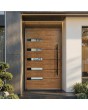 LIM AP18A - aluminium single front door for home
