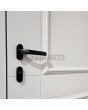 PIVOT CL01 -   traditional style aluminium pivot door
