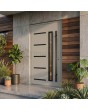 Grey modern aluminum entrance door